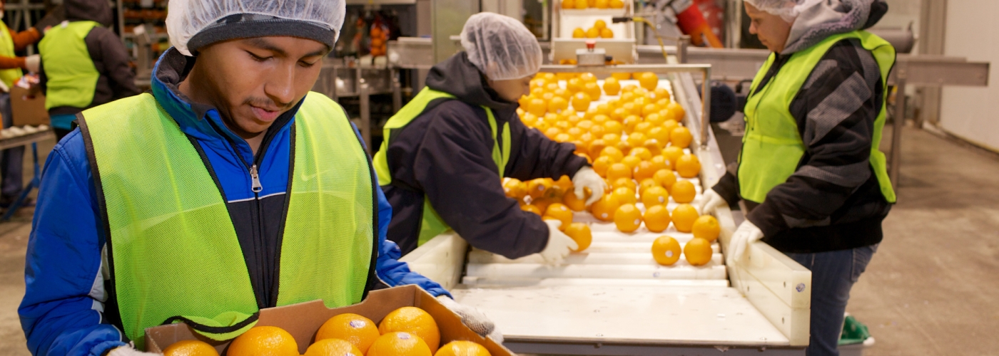 Lineage Food Manufacturing & Processing